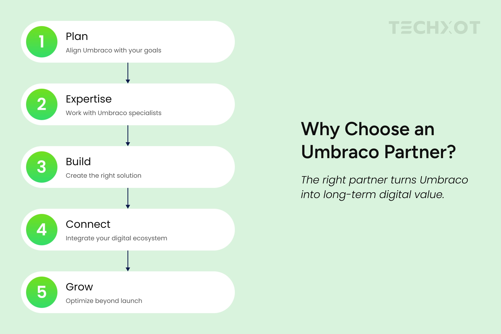 How An Umbraco Partner Agency Helps In Your Digital Growth Infographics 2